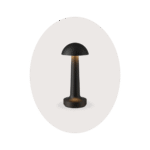 Desk Lamp