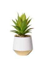 Golden Pebble Succulent - Image 2