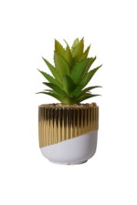 Radiant Base Aloe - Image 2