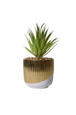 Lustrous Agave Accent