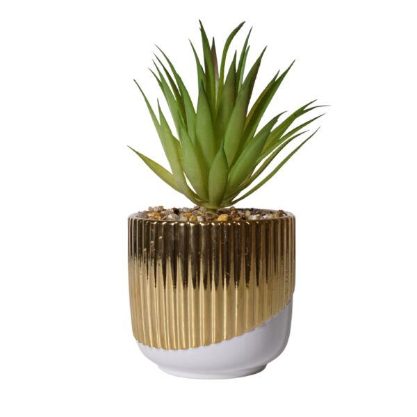 Lustrous Agave Accent