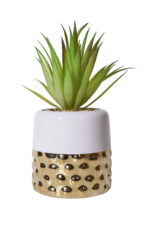 Artisan Dimple Succulent