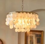 Natural Shell Disc Gold Chandelier